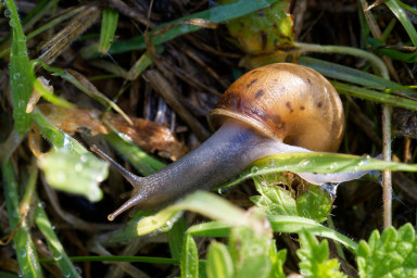 DSC_0912.jpg